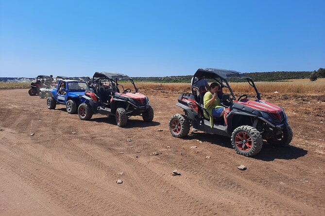 Lara Bay/Turtle Bay/Akamas Quad & Buggy Adventure Approx. 3 Hours - Tour Overview