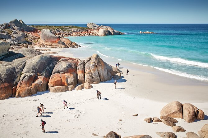 Larapuna / Bay of Fires Hiking Tour - 4 Days - Tour Highlights
