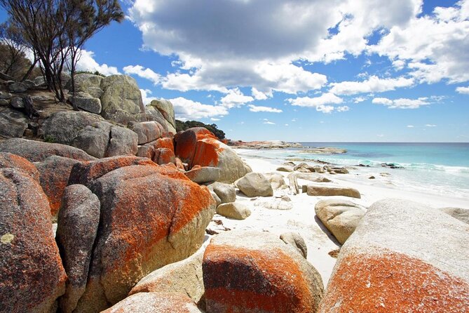 Larapuna / Bay of Fires Hiking Tour - 4 Days - Accommodation and Meals