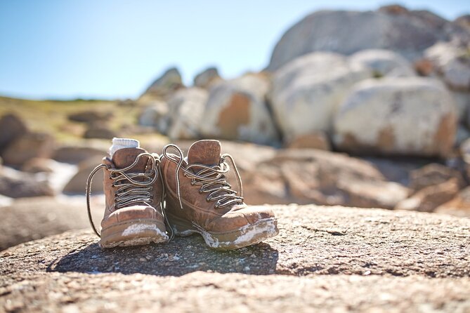 Larapuna / Bay of Fires Hiking Tour - 4 Days - Booking and Pricing Information