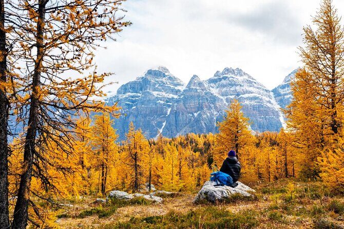 Larch Valley/Moraine Lake Shuttle Transfer from Banff and Canmore - A Practical Overview of the Shuttle Experience