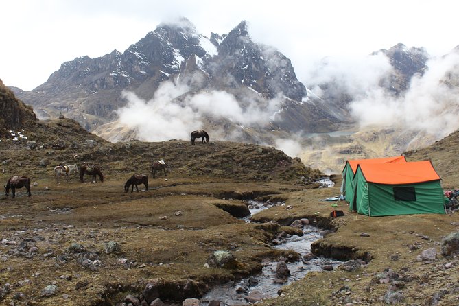 Lares Tour to Machu Picchu (8 Days) - Meeting and Logistics