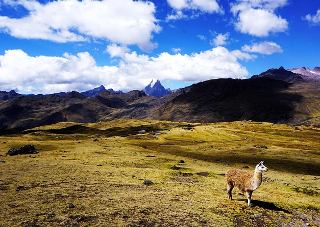 Lares Trek 4 Days to Machu Picchu All Included - Trek Overview