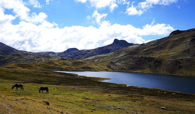Lares Trek 4 Days to Machu Picchu All Included - Accommodation Options