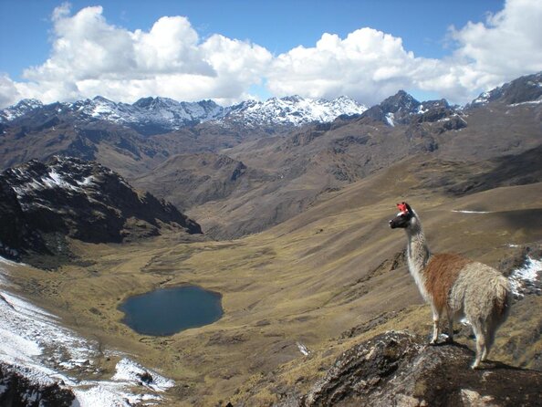 Lares Trek to Machu Picchu: 4-Day Tour - Refund Policy and Cancellation Guidelines