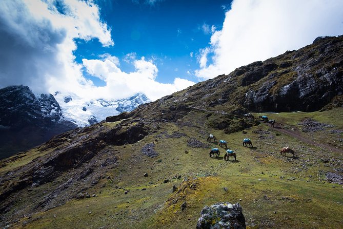Lares Trek to Machu Picchu (4 Days) - Common Questions