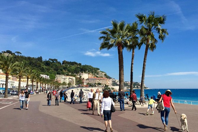 Large Group French Riviera Tailor-Made Private Excursion - Pricing and Availability