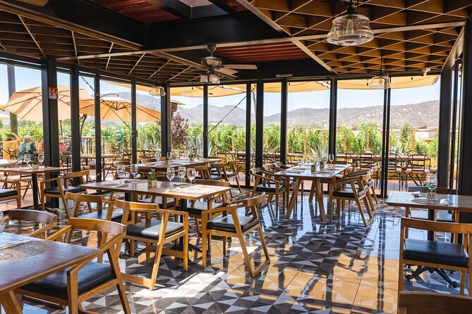 Large Group Valle Experience by Ansell Wine Tours - Common Questions