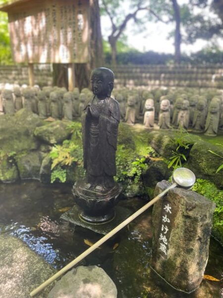 Largest Wooden Buddha, Temples, Cultural Experience - Visitor Tips and Recommendations