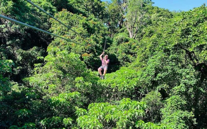 Largest Zipline & Cave Exploration from sigatoka coral coast - FAQ