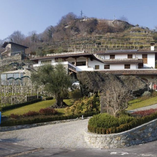 Larian Boat Museum and Wine Tasting - Additional Information