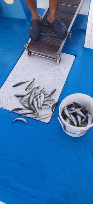 Larnaca: Private Fishing - Traditional Explorer N Vessel - Introducing the Experience