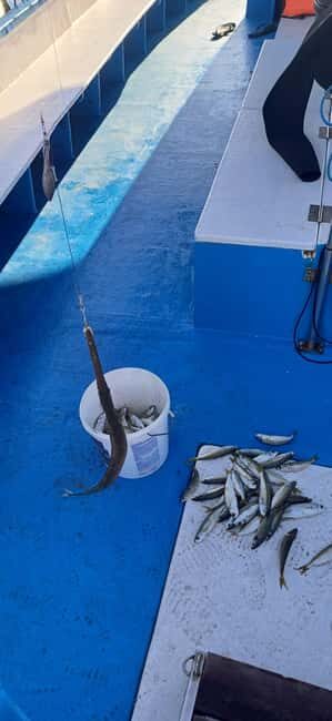 Larnaca: Private Fishing - Traditional Explorer N Vessel - Good To Know