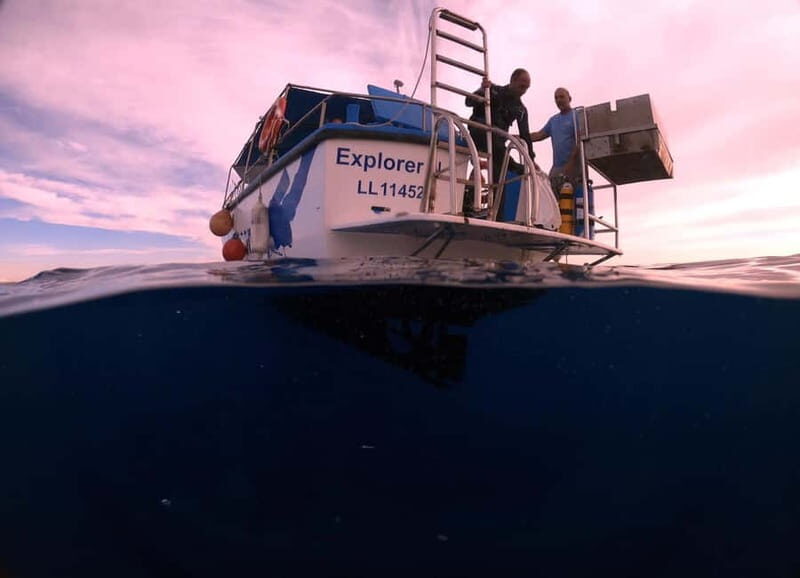 Larnaca: Snorkelling Zenobia Wreck Plus Mini Cruise - Why the Zenobia Wreck Is a Must-See