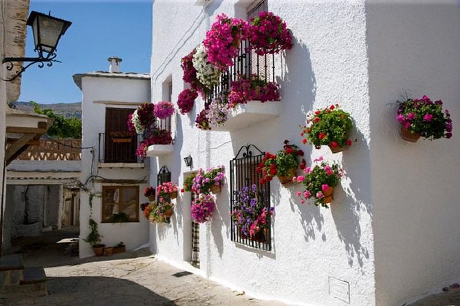 Las Alpujarras Full-Day Tour With Optional Lunch From Granada - Pricing and Booking Information