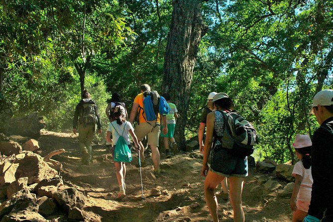 Las Animas Waterfall Tour - Tour Location