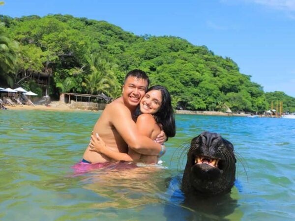 Las Caletas: the Most Beautiful Beach in Puerto Vallarta - Snorkeling and Water Sports