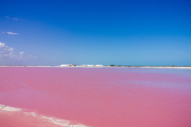 Las Coloradas Amazing Pink Lake & Rio Lagartos From Tulum - Wildlife Encounters at Rio Lagartos