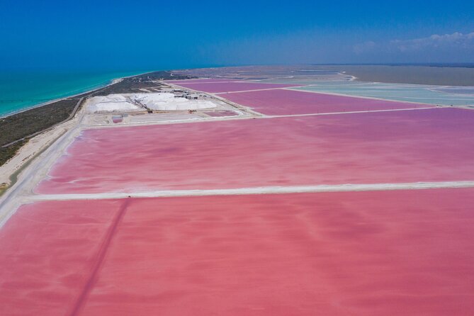 Las Coloradas Amazing Pink Lake & Rio Lagartos From Tulum - Top Highlights and Attractions in Las Coloradas and Rio Lagartos