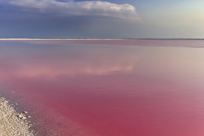 Las Coloradas Amazing Pink Lake & Rio Lagartos From Tulum - Insiders Guide to Las Coloradas and Rio Lagartos