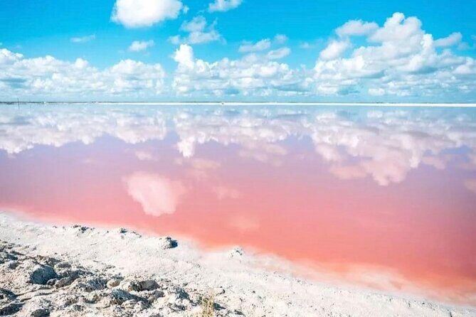 Las Coloradas and Rio Lagartos Day Tour from Cancun - The Itinerary Breakdown: What to Expect