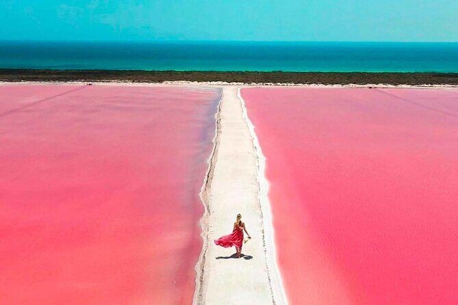 Las Coloradas and Rio Lagartos Day Tour from Cancun - Who Should Consider This Tour?