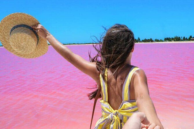 Las Coloradas and Rio Lagartos Day Tour from Cancun - The Sum Up