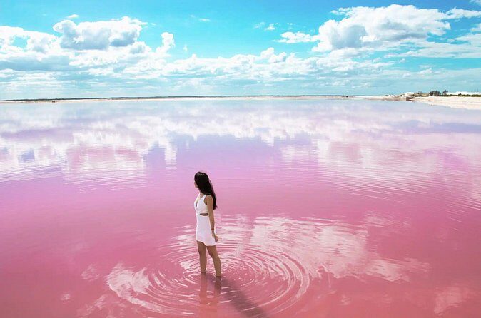 Las Coloradas and Rio Lagartos only from Merida - FAQ