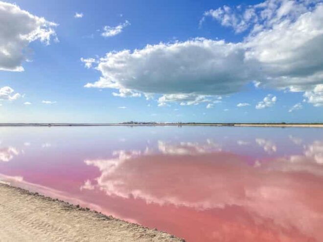 Las Coloradas and Río Lagartos - Wildlife Sanctuary
