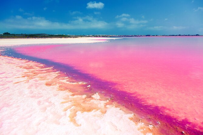 Las Coloradas and Rio Lagartos Tour With All Inclusive - Cancellation Policy