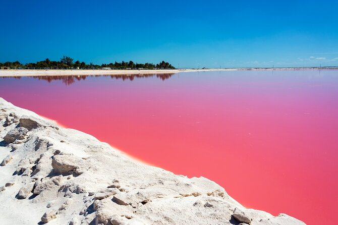 Las Coloradas and Rio Lagartos Tour With All Inclusive - Additional Information