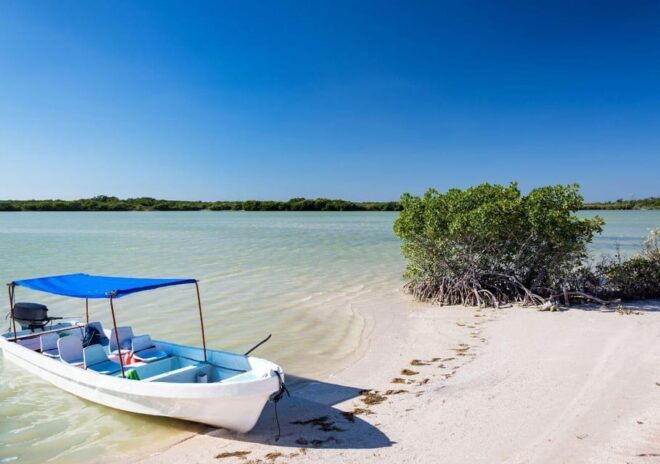 Las Coloradas: Discover the Pink Waters and Rio Lagartos - Highlights and Activities