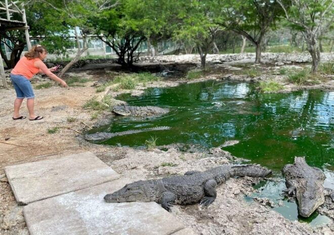 Las Coloradas: Discover the Pink Waters and Rio Lagartos - Meals and Inclusions