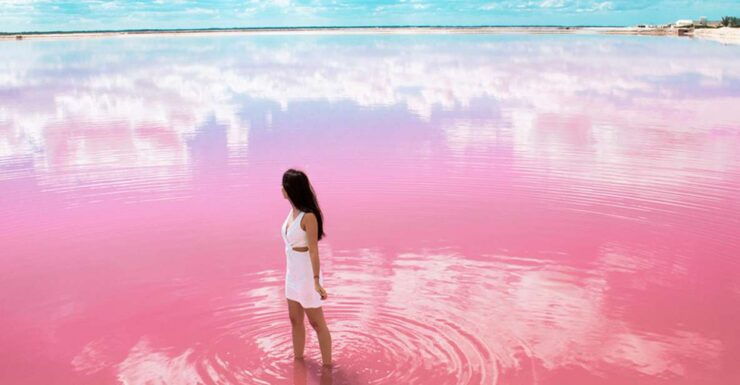 Las Coloradas Discovery Tour - Experience Highlights