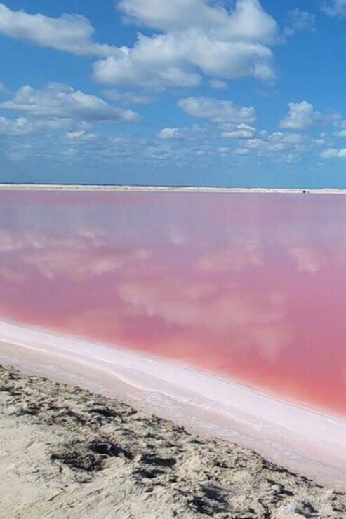 Las Coloradas: Full-Day Tour to the Pink Lake & Rio Lagartos - Good To Know