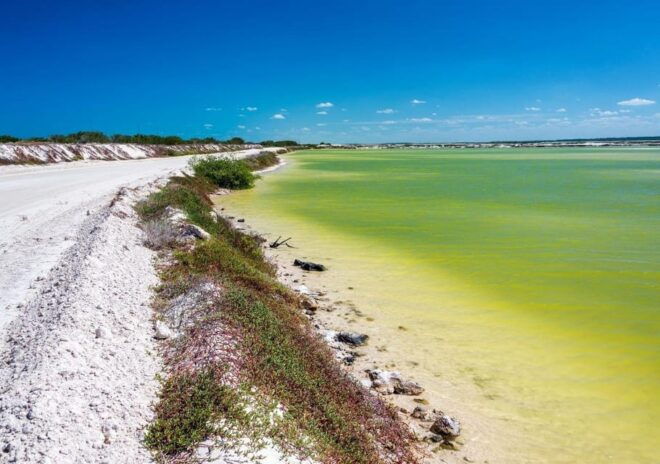 Las Coloradas: Full-Day Tour to the Pink Lake & Rio Lagartos - Inclusions