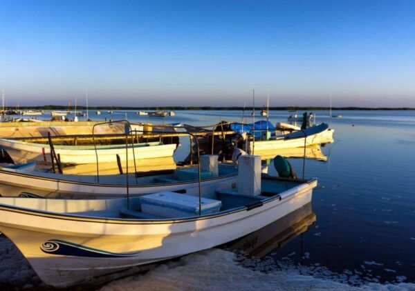 Las Coloradas: Full-Day Tour to the Pink Lake & Rio Lagartos - Frequently Asked Questions