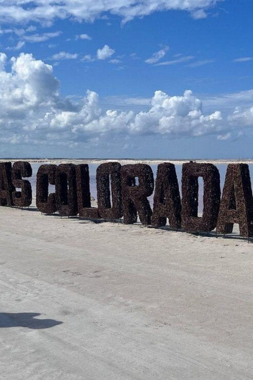 Las Coloradas: Guided Visit, Río Lagartos Boat Tour & Lunch - Transportation and Pickup