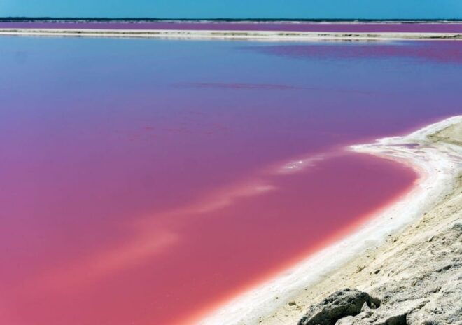 Las Coloradas: Guided Visit, Río Lagartos Boat Tour & Lunch - Included Amenities