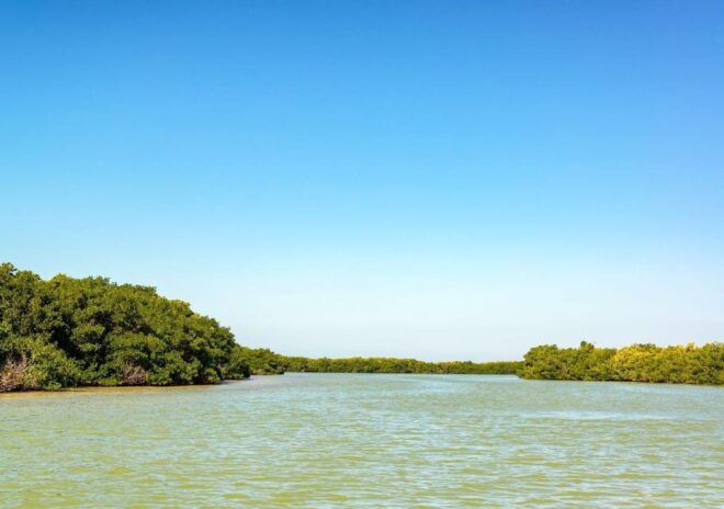 Las Coloradas: Guided Visit, Río Lagartos Boat Tour & Lunch - Important Information