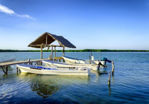 Las Coloradas: Guided Visit, Río Lagartos Boat Tour & Lunch - Dietary Restrictions