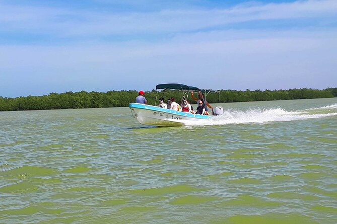 Las Coloradas Pink Lagoon Rio Lagartos Tour - Itinerary Details