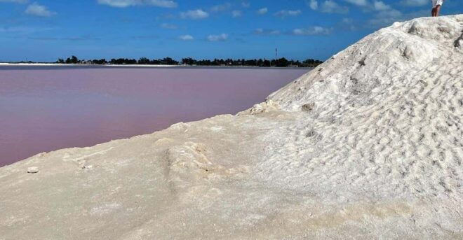 Las Coloradas: Pink Lake Guided Tour and Rio Lagartos Visit - Experience Highlights