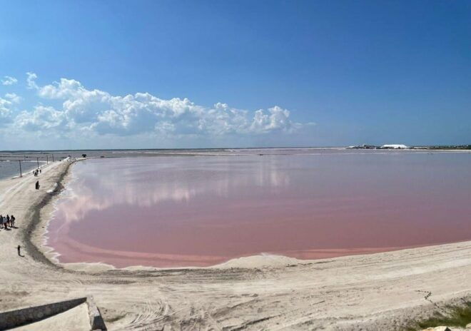 Las Coloradas: Pink Lake Guided Tour and Rio Lagartos Visit - Booking and Cancellation