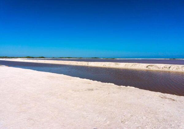 Las Coloradas: Pink Lake Guided Tour and Rio Lagartos Visit - Contact and Additional Details