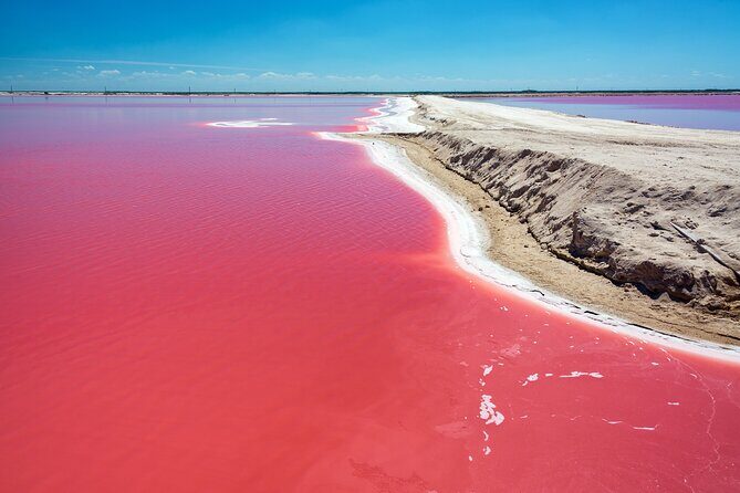 Las Coloradas Pink Lake & Rio Lagartos Guided Tour - Good To Know