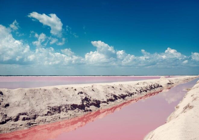 Las Coloradas: Pink Lake Tour and Boat Ride in Rio Lagartos - Wildlife and Nature Highlights
