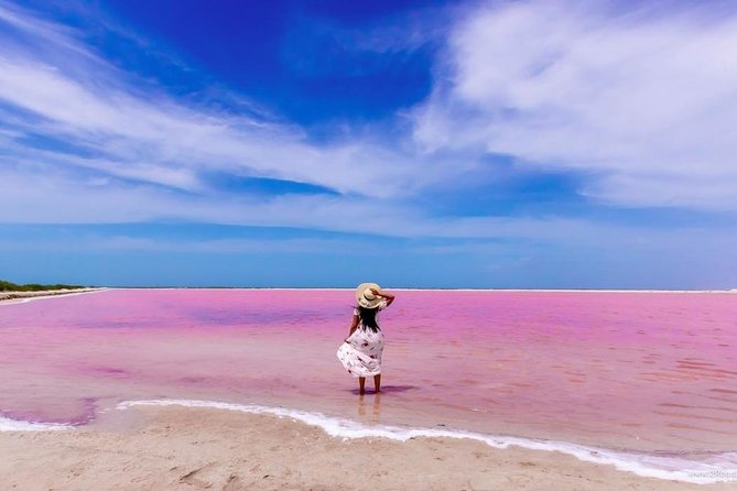 Las Coloradas Pink Lake Tour With Ría Lagartos Nature Reserve - Cancun - Salt Extraction and Pink Lagoons