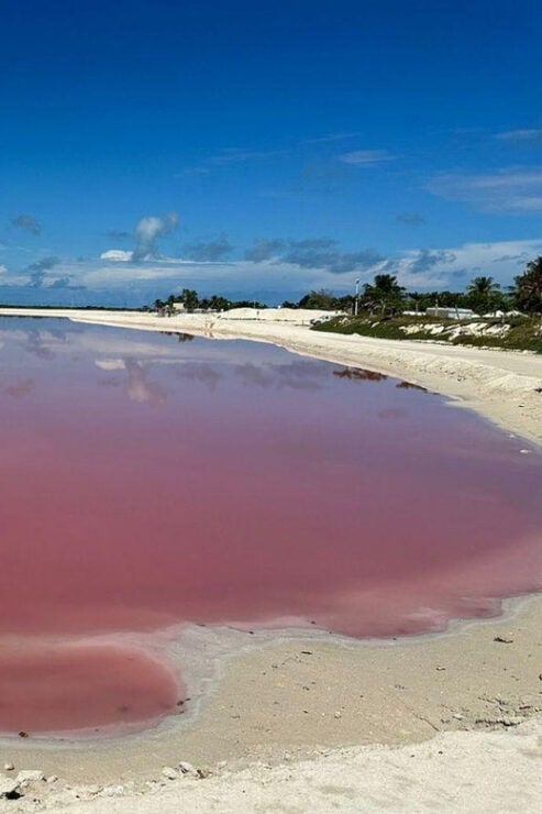 Las Coloradas: Pink Lake Visit and Boat Ride in Río Lagartos - Good To Know