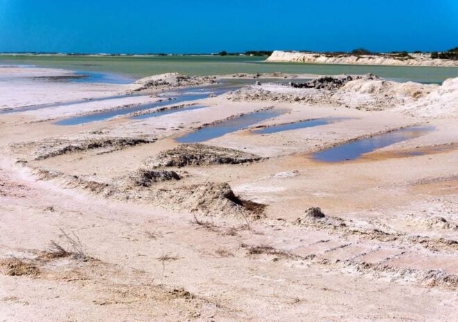 Las Coloradas: Pink Lake Visit and Boat Ride in Río Lagartos - Boat Tour in Río Lagartos